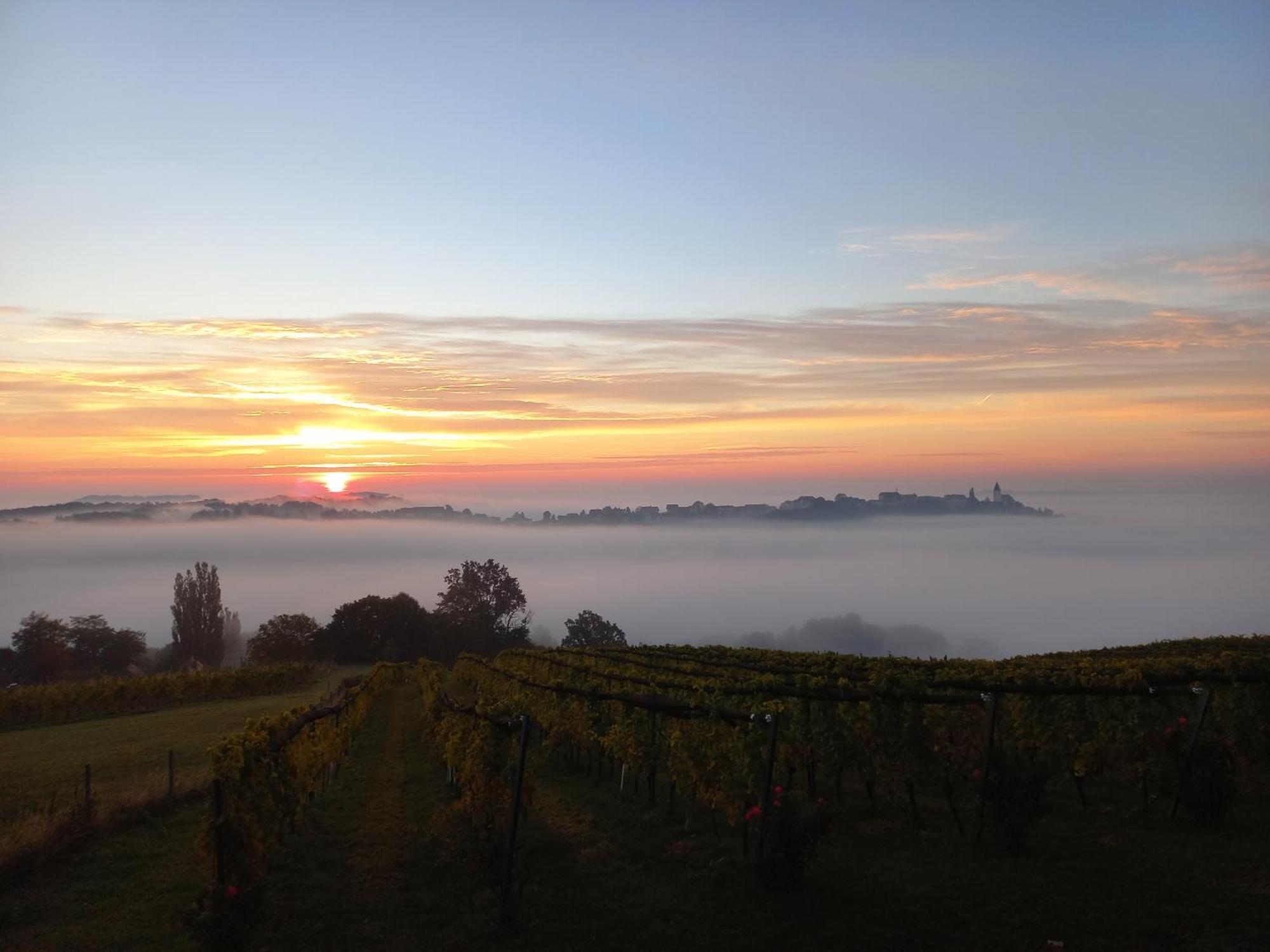 Winzerzimmer Scharl Sankt Anna am Aigen Exterior foto